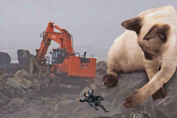 Photoshopped Cats Highlight Army Corps of Engineers Projects in a Free